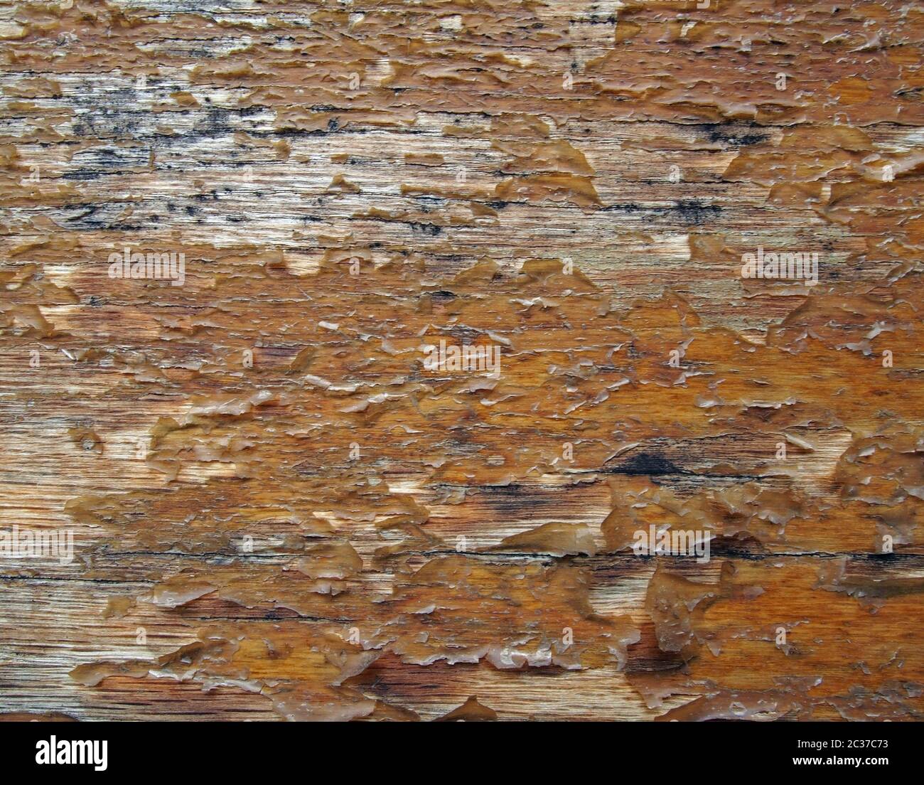primo piano di un vecchio pannello di legno marrone con vernice sfaldante peeling Foto Stock