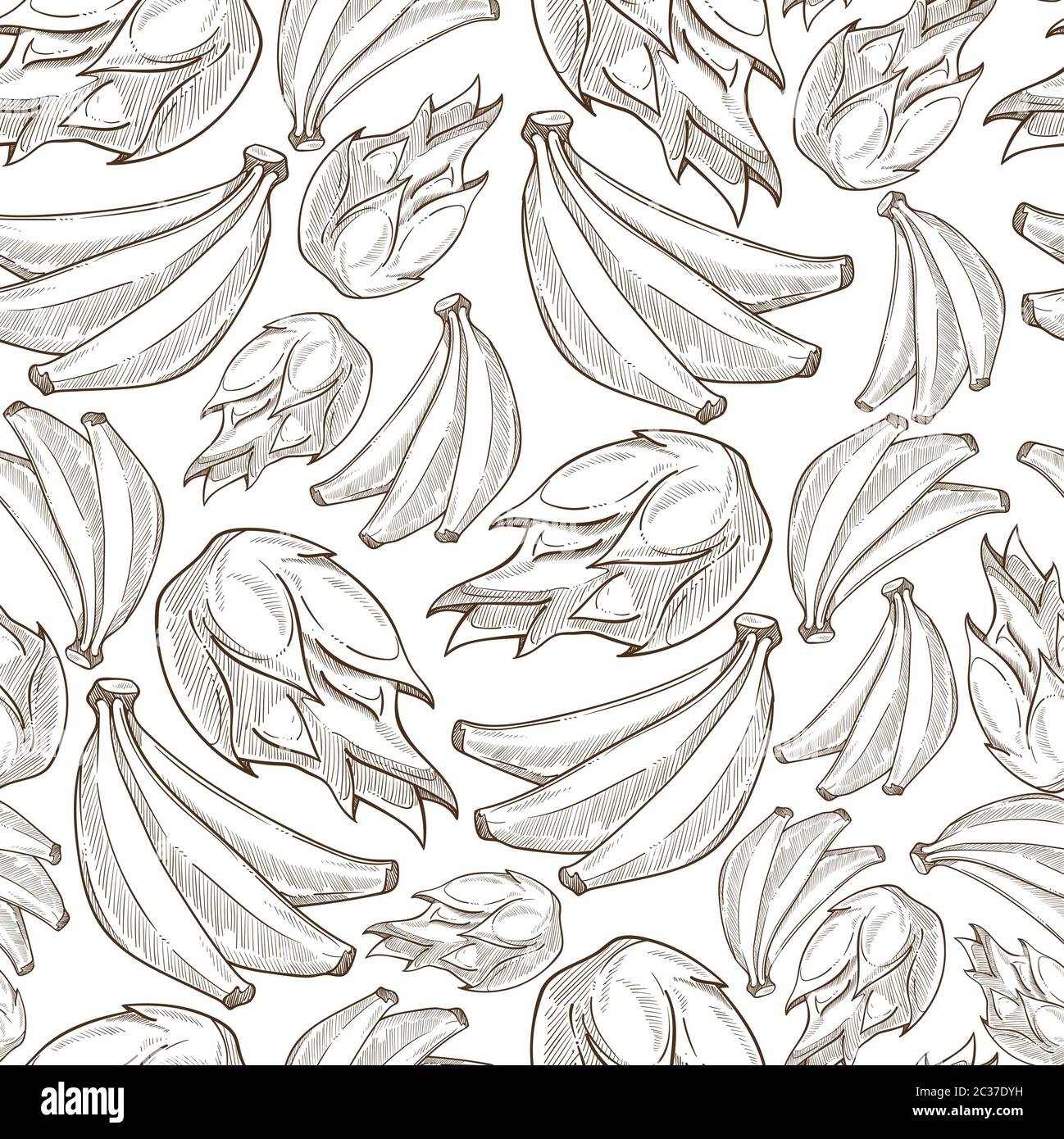 Banana frutti tropicali, esotico dieting incolore senza cuciture modello Illustrazione Vettoriale