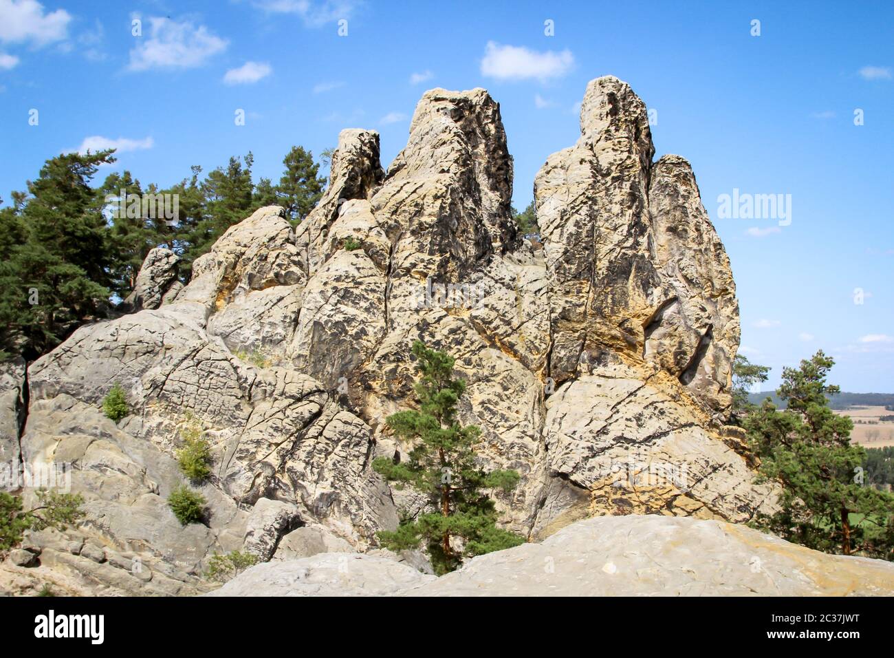 Una roccia nella bassa montagna Harz Foto Stock