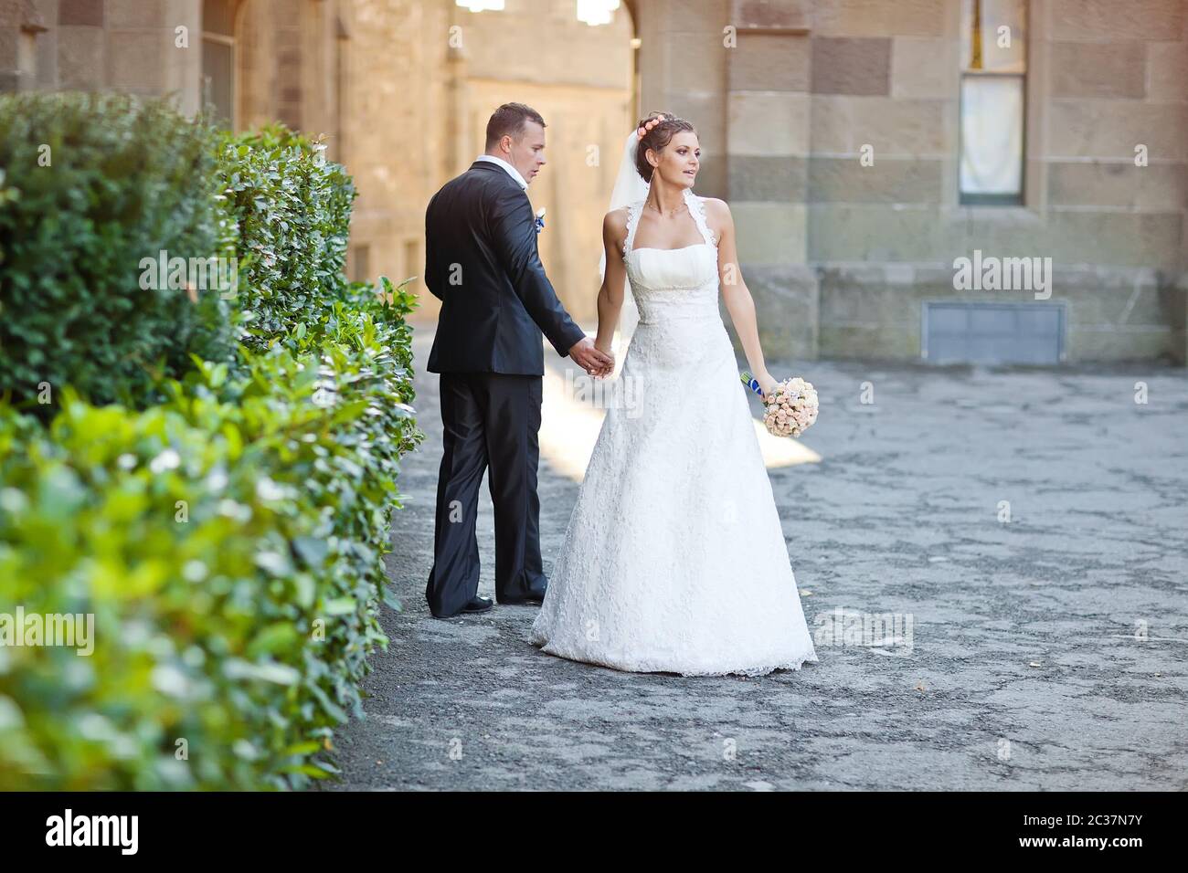 Matrimonio. Sposa e sposo il giorno del loro matrimonio. Un paio di amanti. Foto Stock
