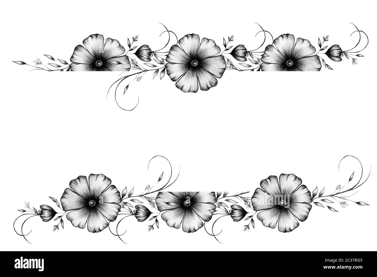 cornice floreale vintage in bianco e nero, illustrazione disegnata a mano  con elegante disposizione dei fiori monocromatica Foto stock - Alamy