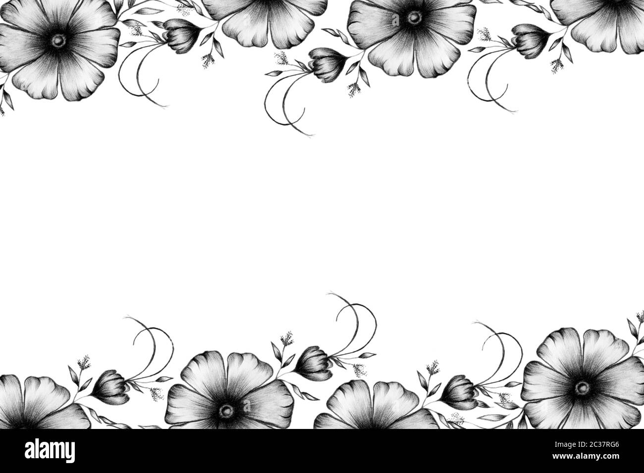 vintage bordo floreale in matita disegno decorazioni floreali, nero e bianco cornice per carte, mamme giorno, inviti Foto stock - Alamy