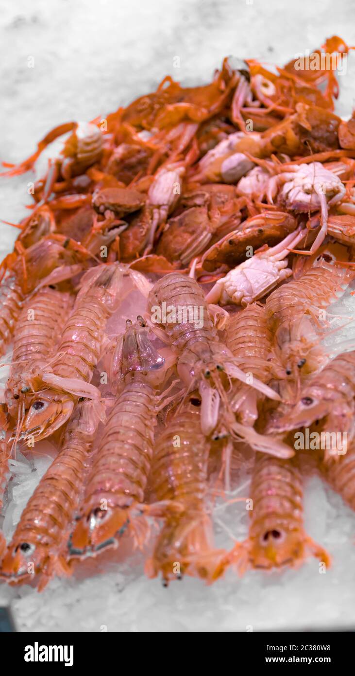 Gamberetti surgelati con ghiaccio in un supermercato o in un negozio di pesce. Pesce crudo primo piano sfondo. Gamberi surgelati freschi, prelibatezze, condimento con frutti di mare Foto Stock