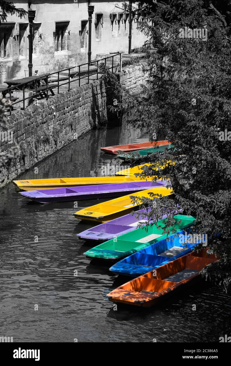 Colorate sterline sul fiume Cherwell in Oxford Foto Stock