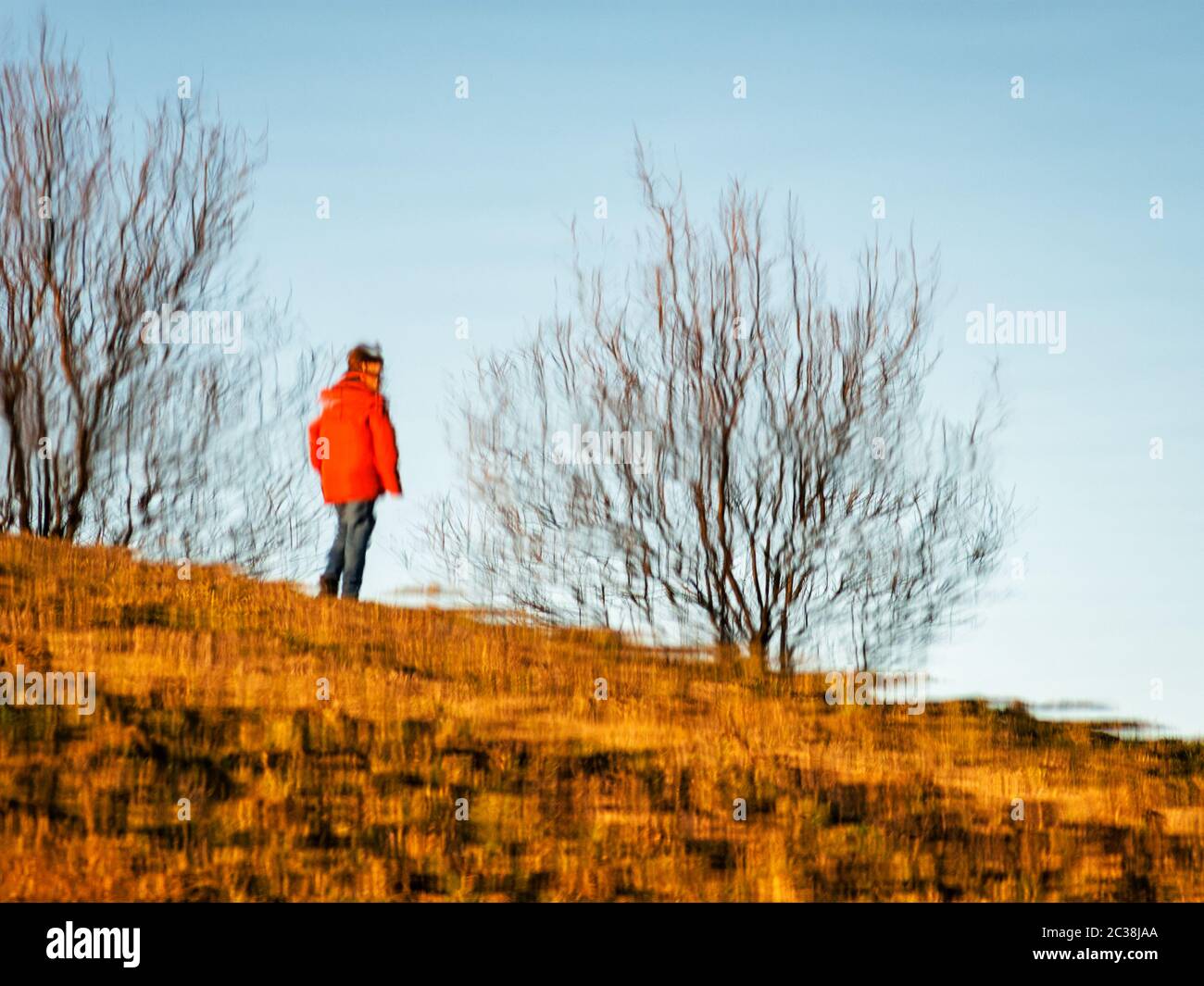Riflessione di un uomo sulla riva di un lago Foto Stock