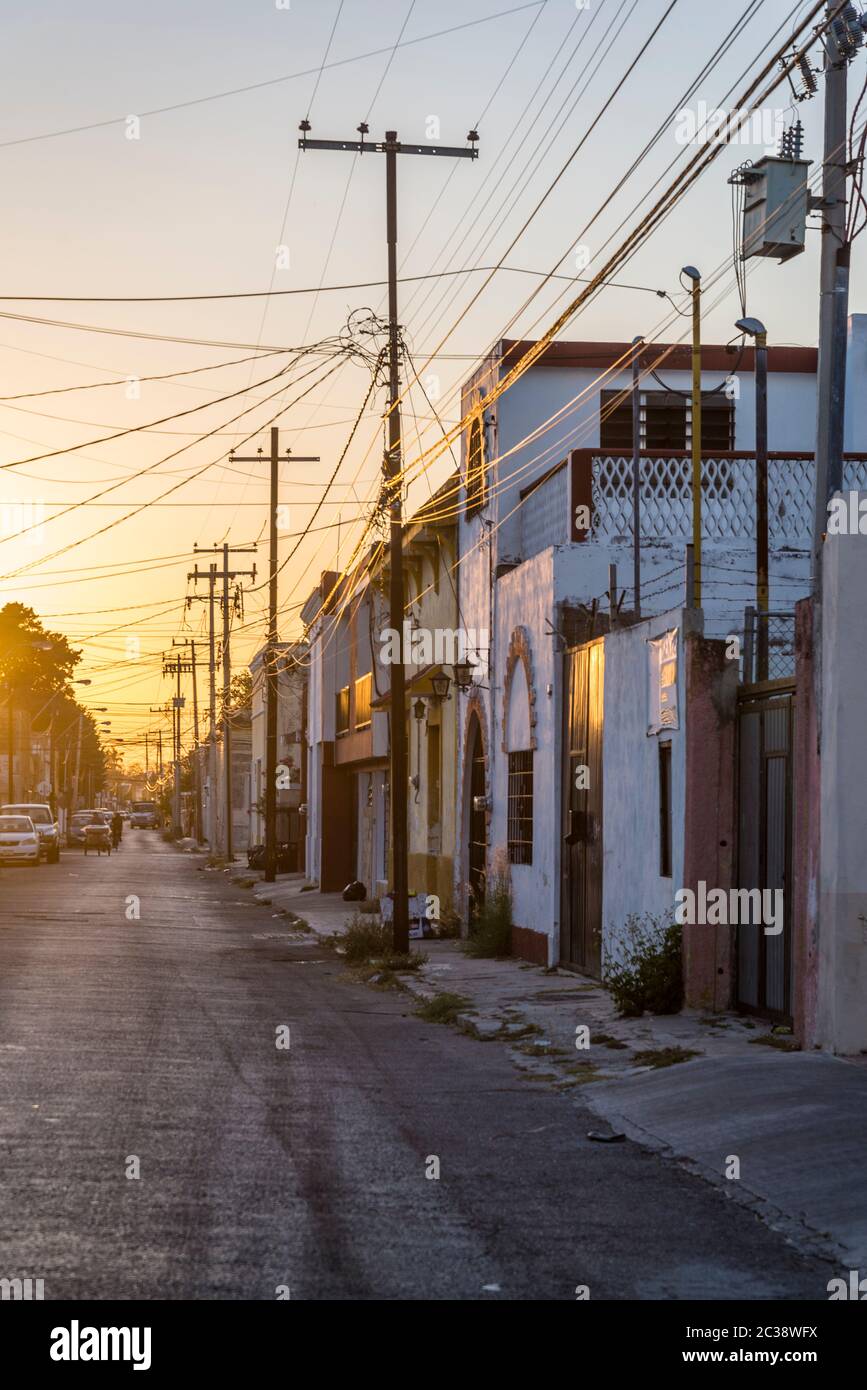 Strada deserta in un quartiere residenziale, Merida, Messico Foto Stock