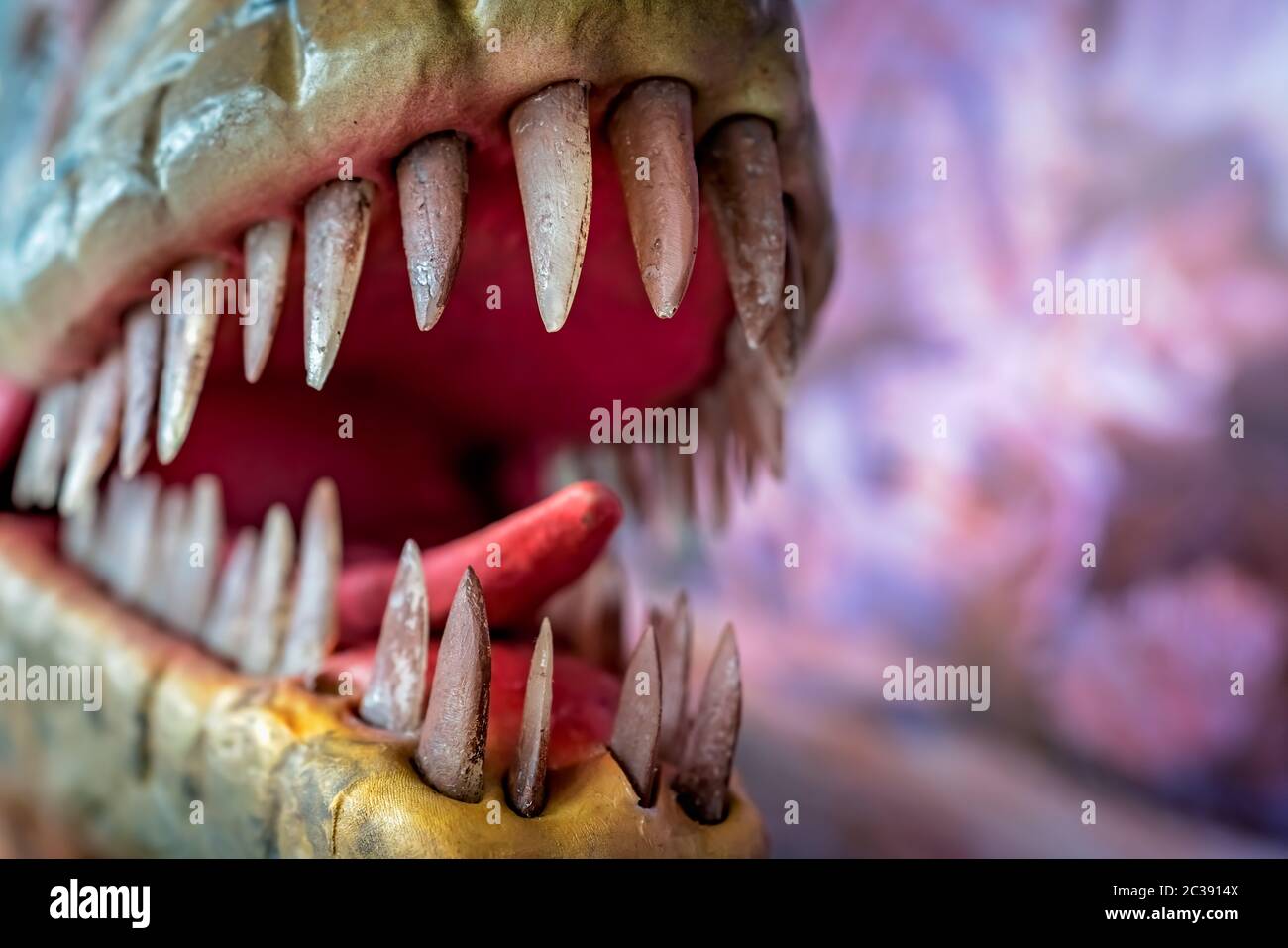 Bocca aperta della statua di velociraptor dinosauro Foto Stock
