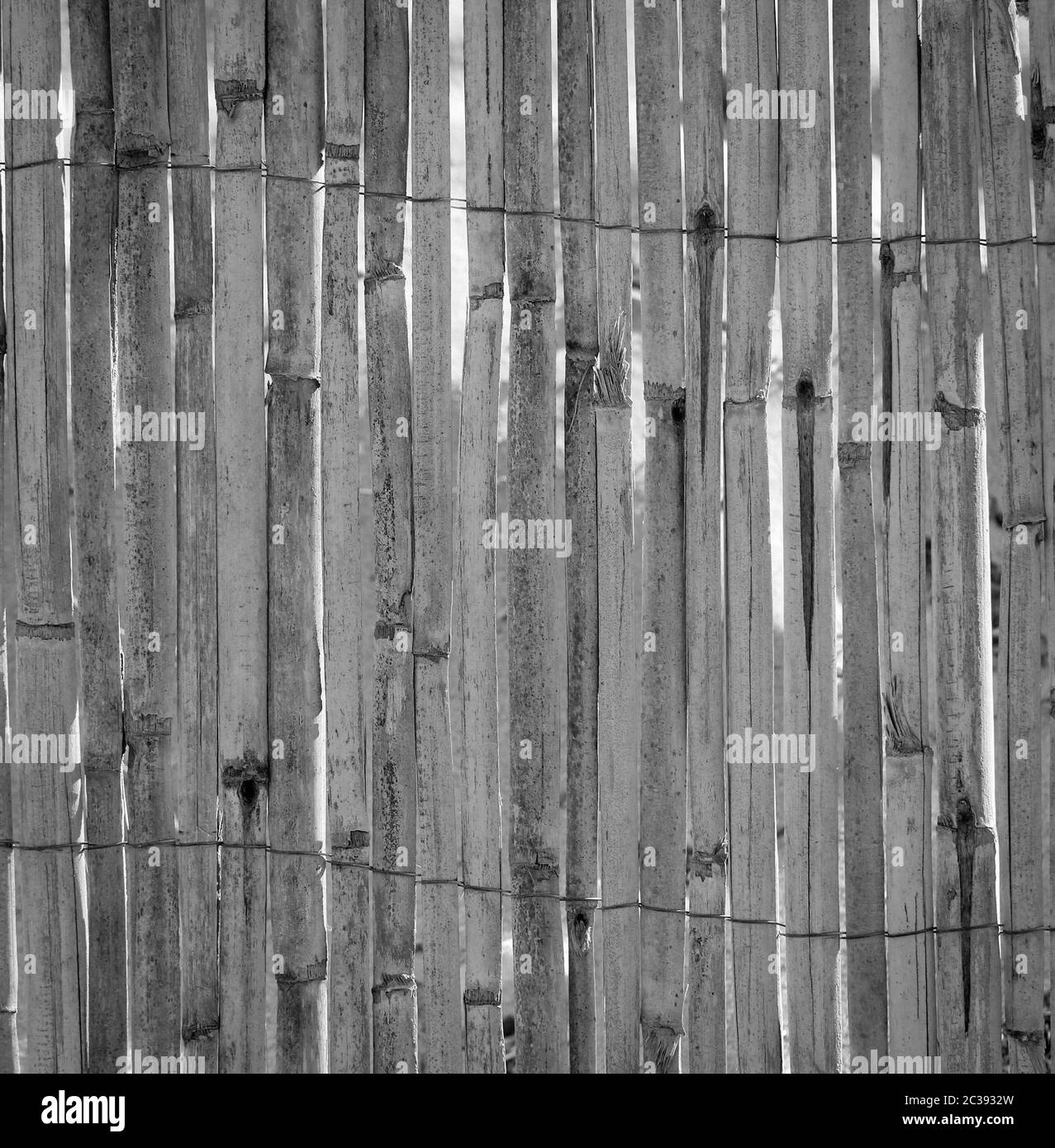 Struttura di un tappeto a lamelle con canne in posizione verticale Foto Stock