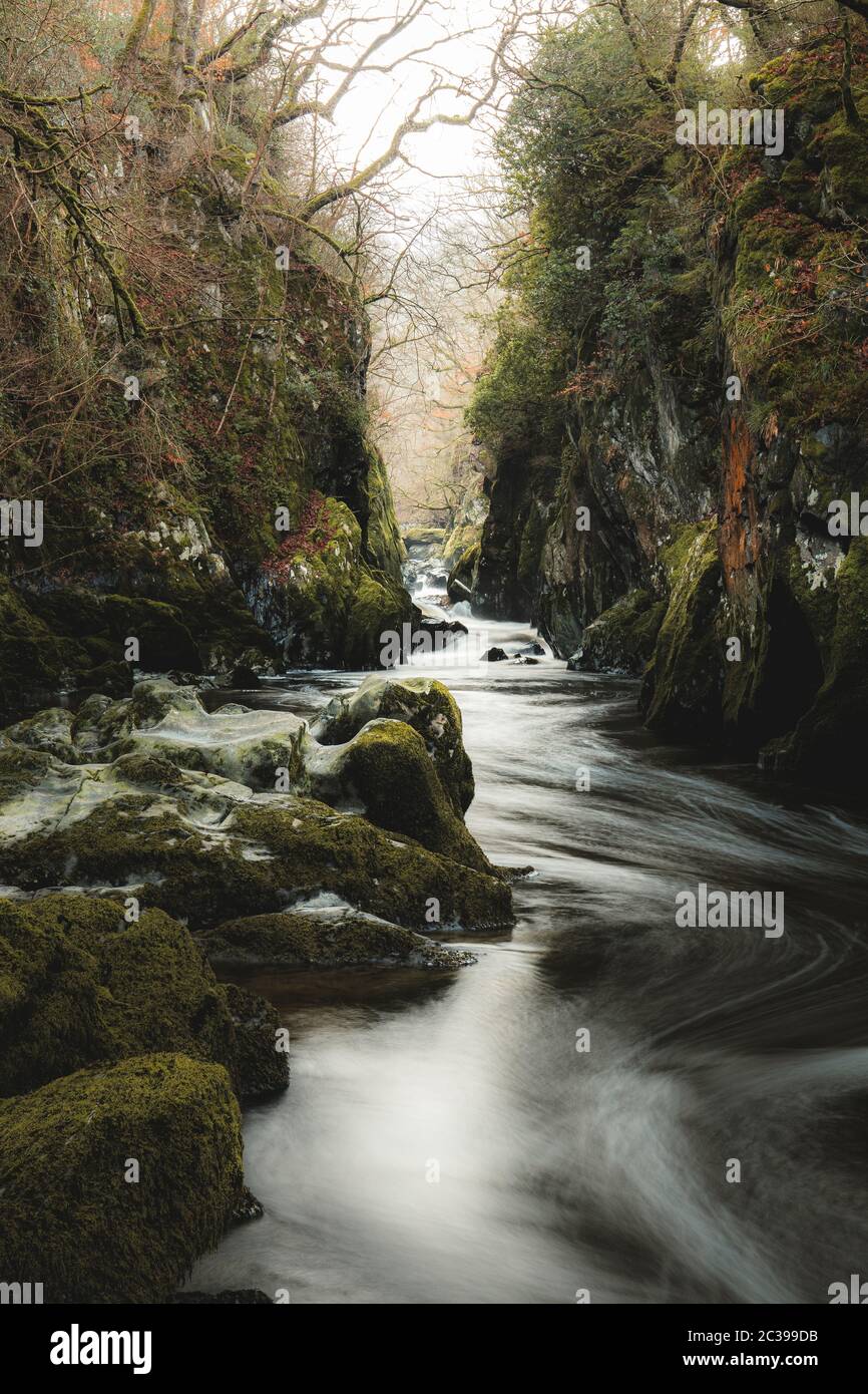 Fiume Conwy che scorre attraverso la splendida Fairy Glen Gorge vicino Betws-y-Coed in Snowdonia, Galles del Nord inverno. Regno Unito Gran Bretagna fotografia di paesaggio Foto Stock