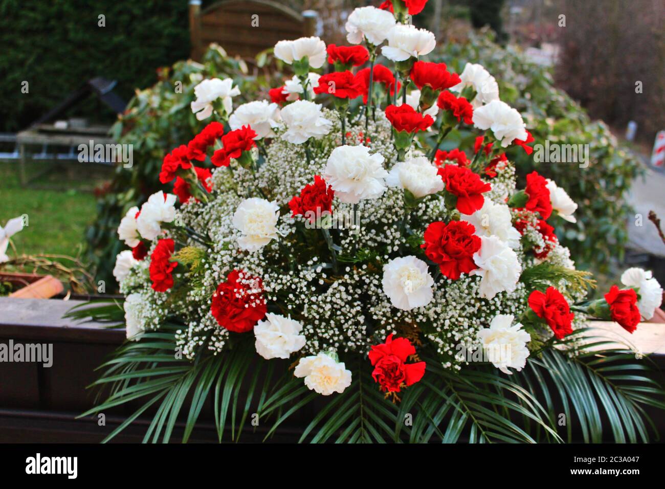 Fiore Foto Stock
