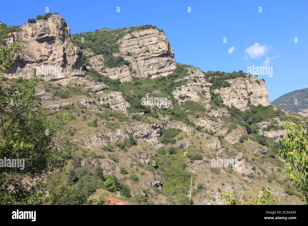 Pi de les Tres Branques e PrePyrenees Foto Stock