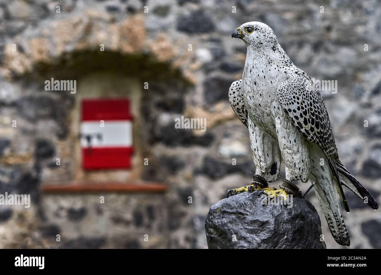 Statua di uccello nel cortile del castello di Hohenwerfen. Austria Foto Stock