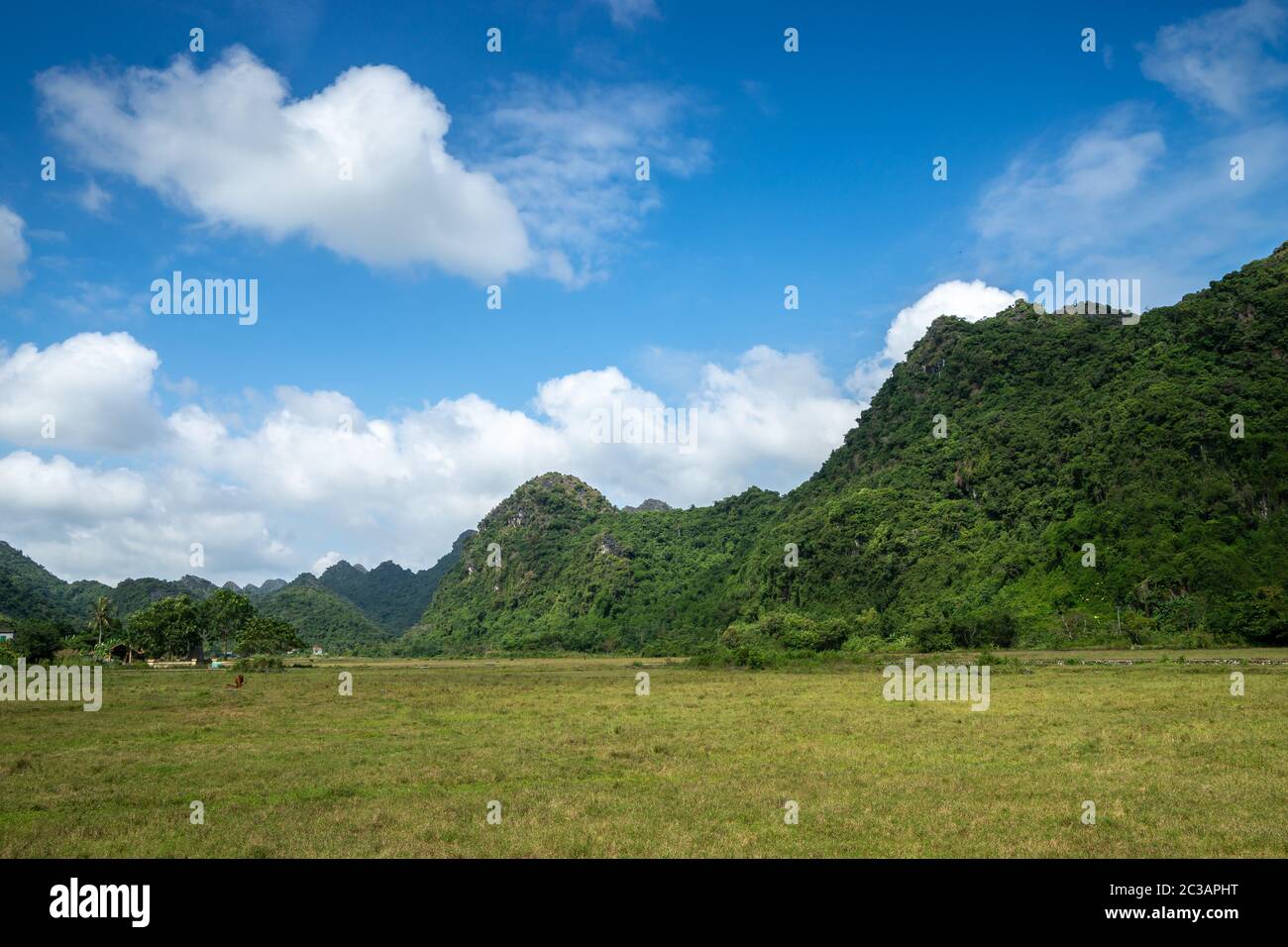 Hai Phong Valley, Cat Ba Island, Halong Bay, Vietnam Foto Stock