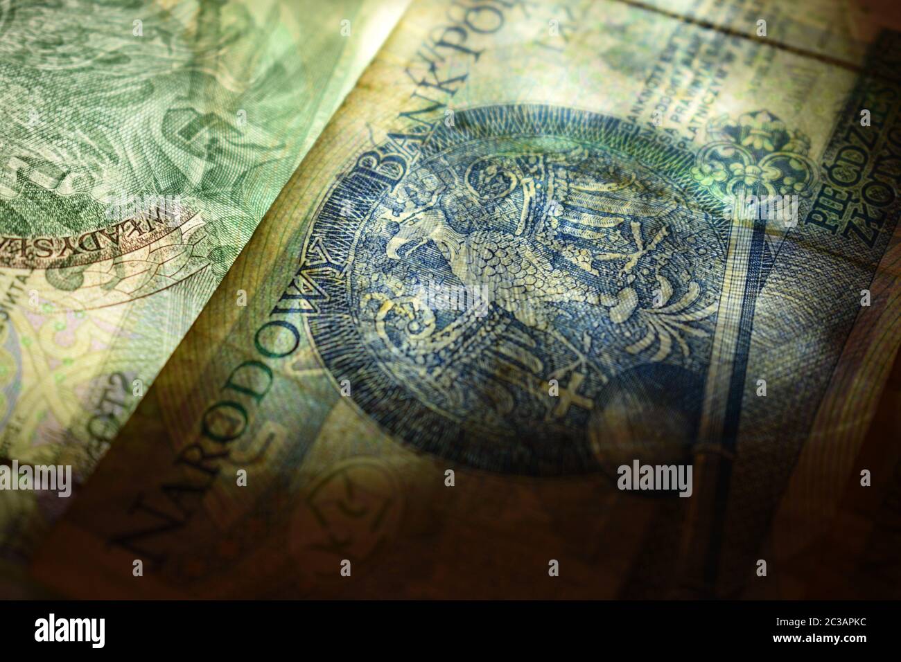 Valuta polacca in trasparenza Foto Stock