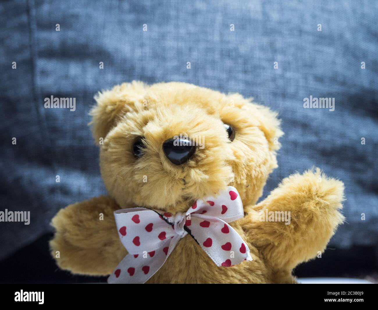 Orsacchiotto giocattolo con un angolo di prua Foto Stock