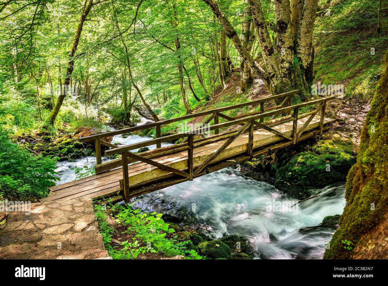 Piccolo ponte di legno sulla cascata del fiume nella foresta del Montenegro Foto Stock