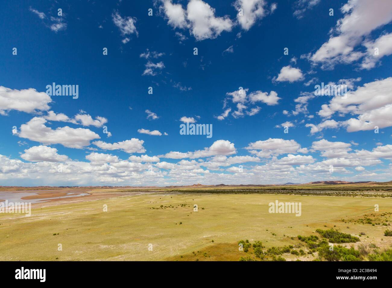Ande in Bolivia Foto Stock
