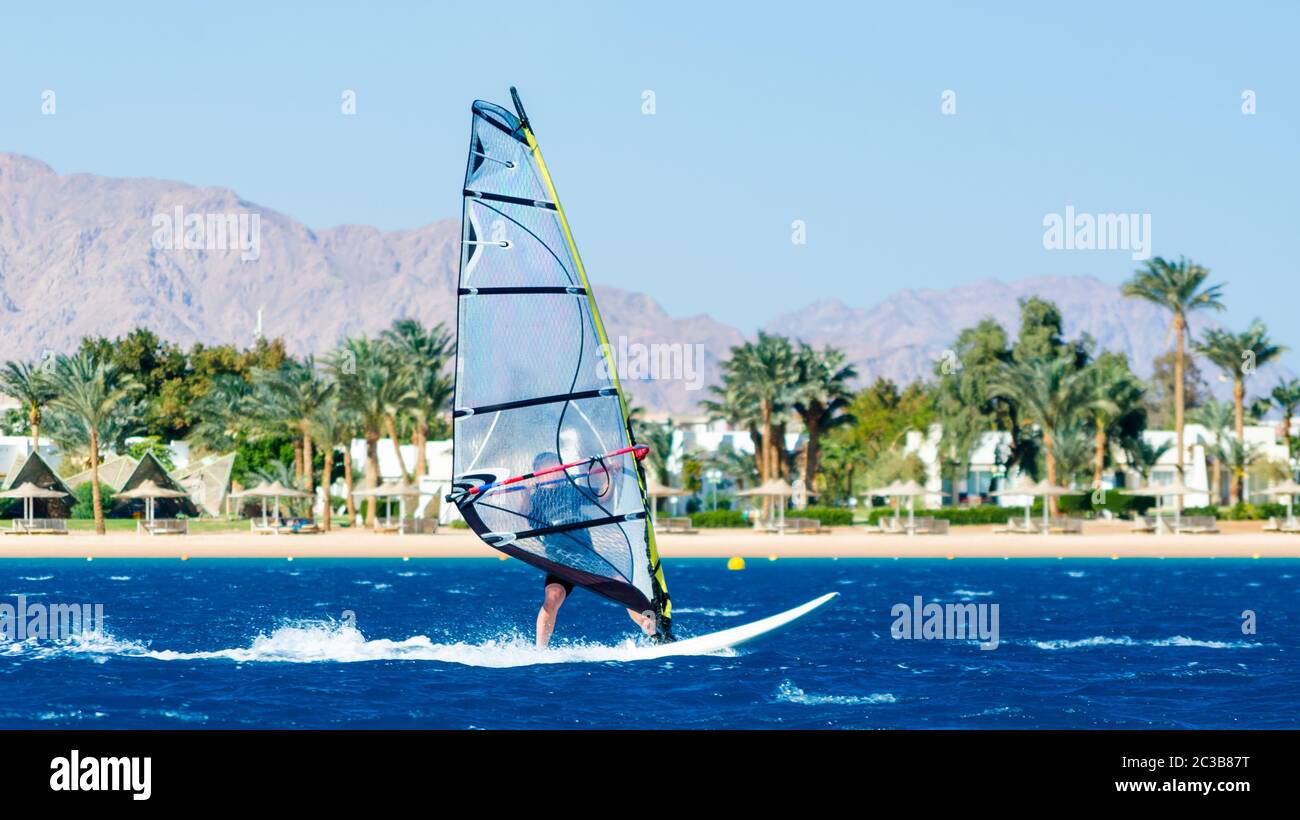 Windsurf corre sulle onde del Mar Rosso sullo sfondo della spiaggia con palme e alte Foto Stock