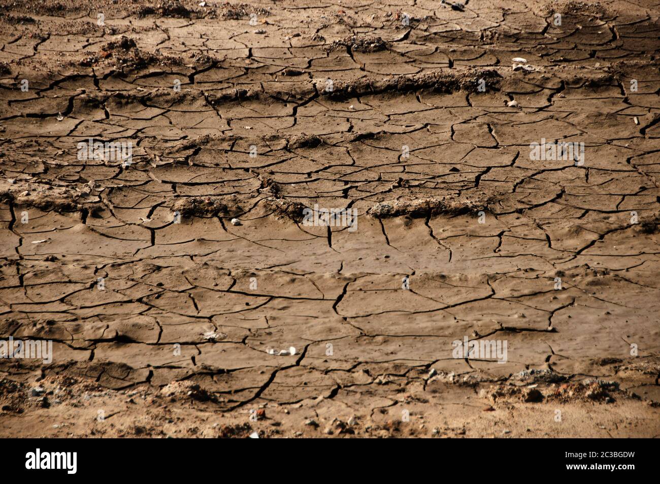 terreno molto asciutto con crepe, concetto di riscaldamento globale Foto Stock
