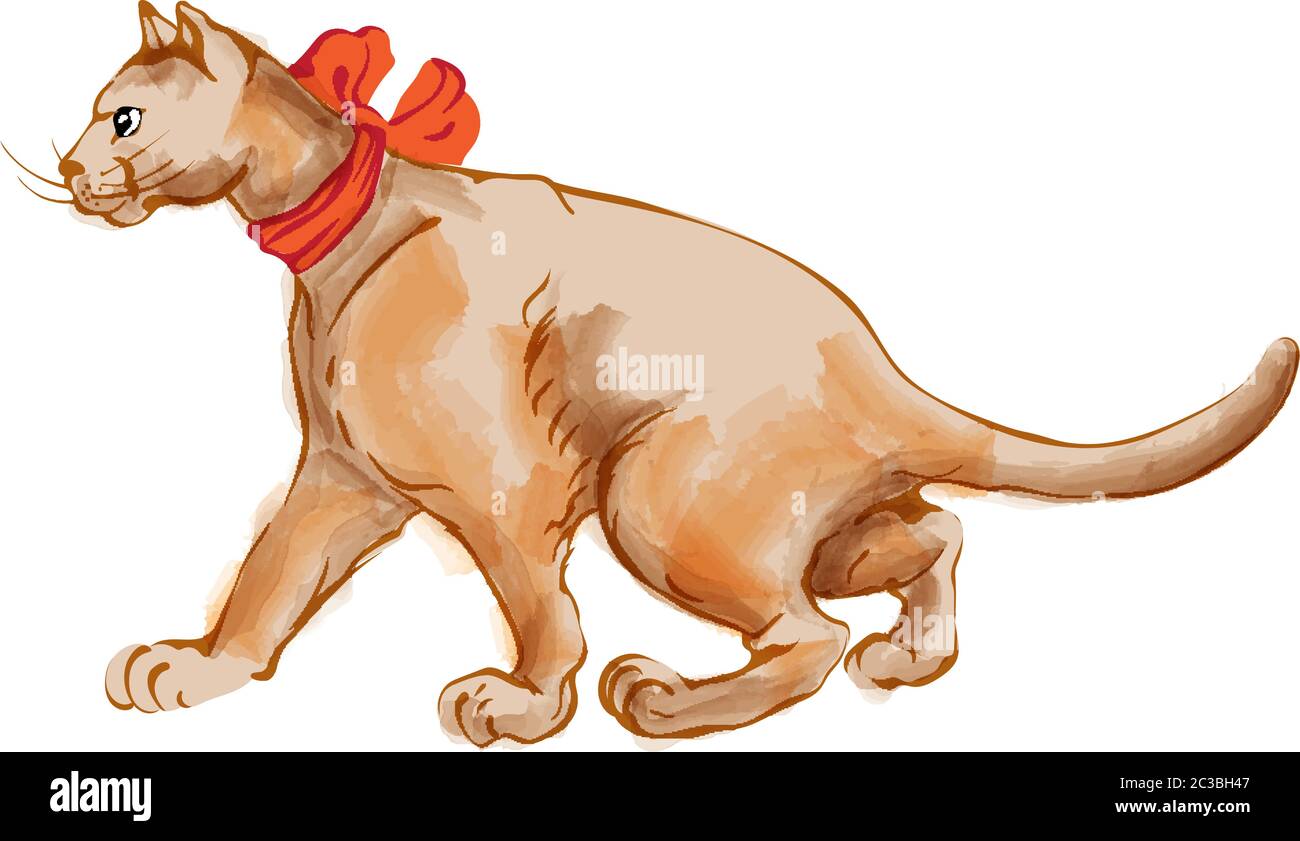 Gatto zenzero acquerello con cravatta di prua rossa che cammina a lato. Vettore Illustrazione Vettoriale