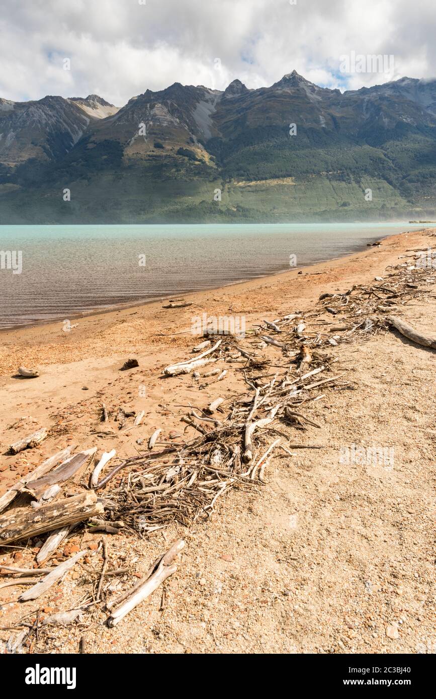 Dritwood sulla riva serpente del lago Wakapiu a Glenorchy Nuova Zelanda Foto Stock