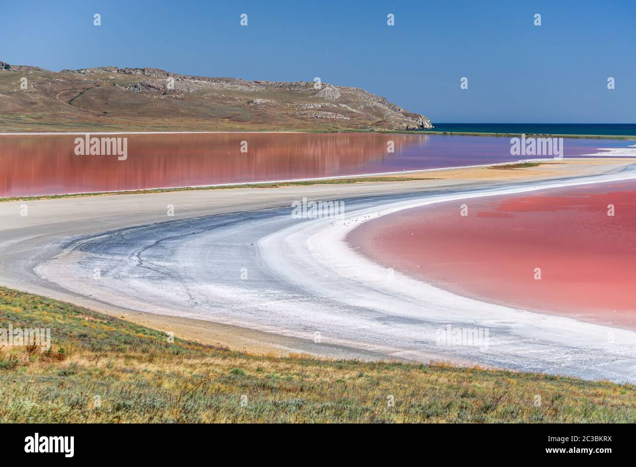 Lago salato rosa Koyash in estate, capo Opuk Kerch Crimea Foto Stock