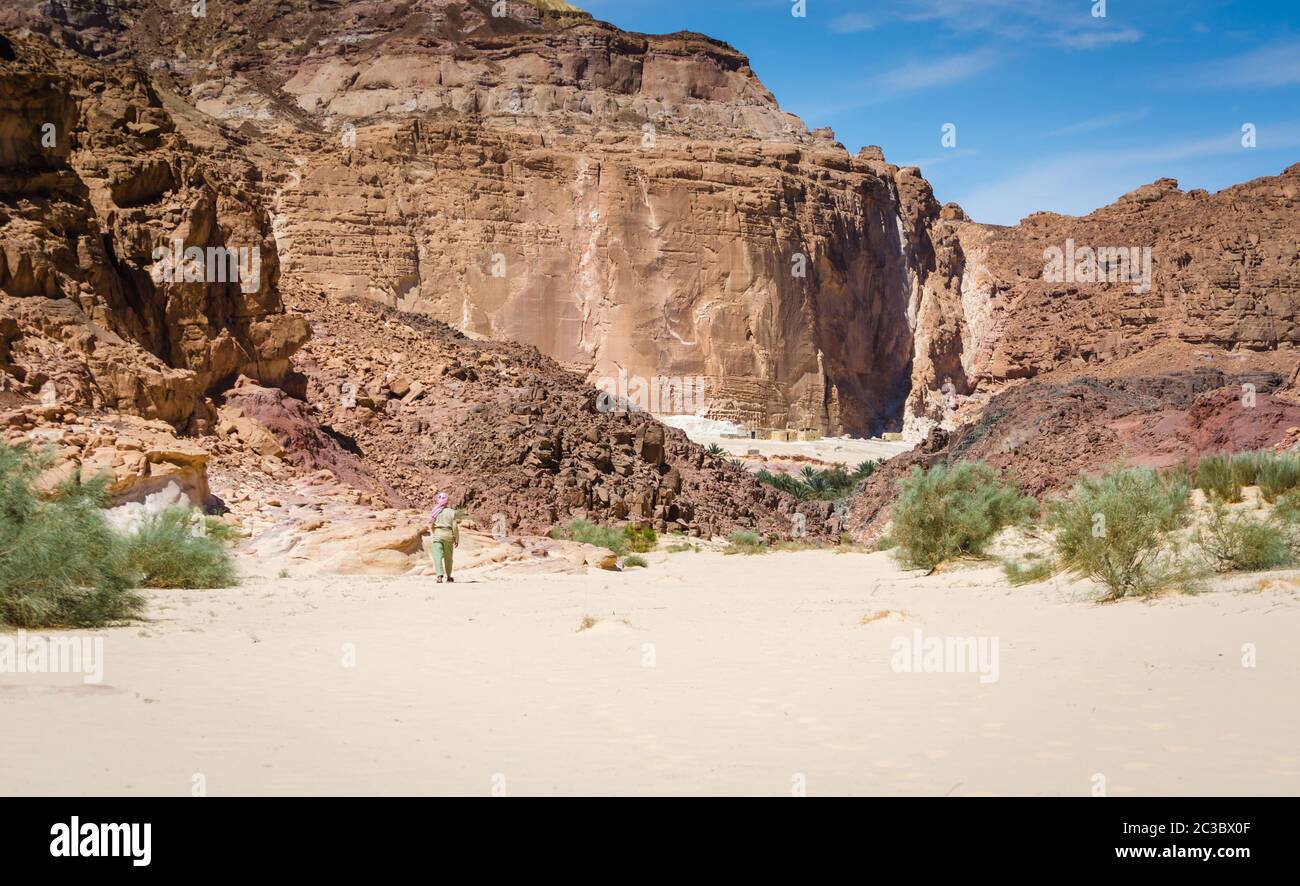 Bedouin va in un villaggio nel deserto tra alte montagne rocciose in Egitto Dahab Sinai Sud Foto Stock