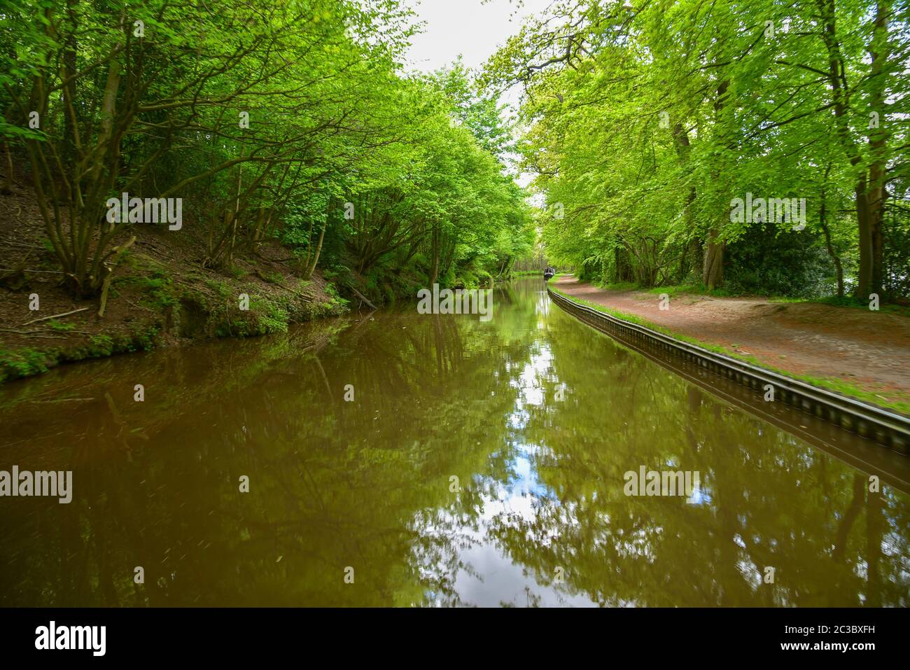 Vista panoramica sul canale di Llangollen vicino a Ellesmere, Galles, Regno Unito Foto Stock