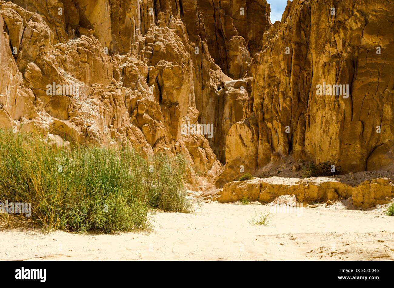 Canyon del deserto con alte scogliere di pietra e piante verdi in Egitto Dahab Sinai Sud Foto Stock