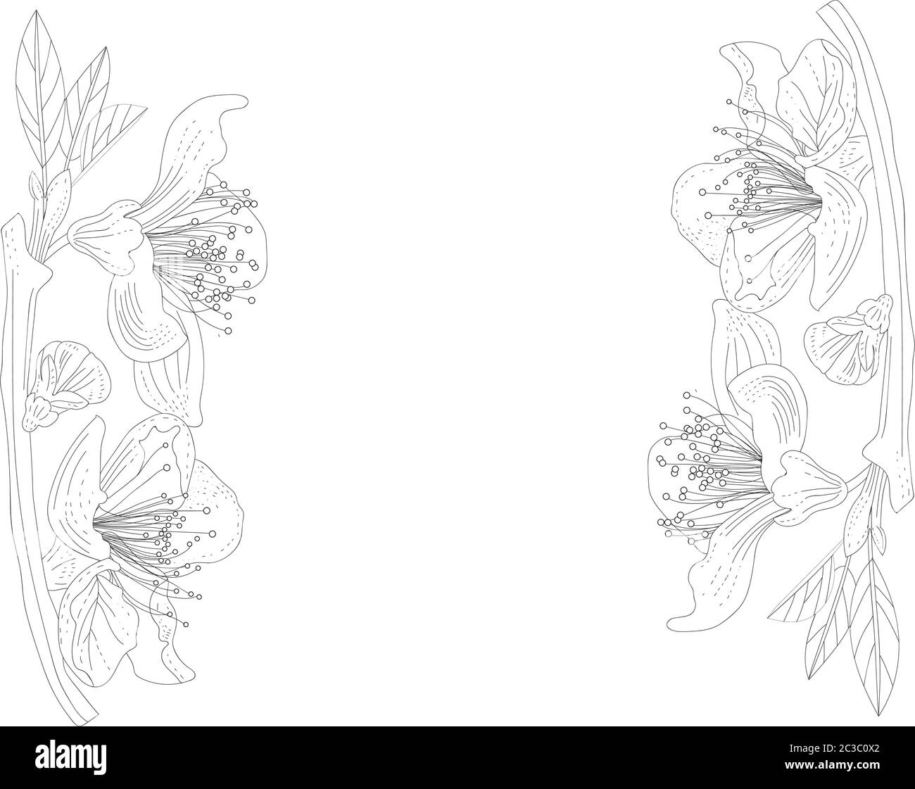 Linea di fiori di giglio su rami con foglie. Posiziona per il testo. Vettore Illustrazione Vettoriale