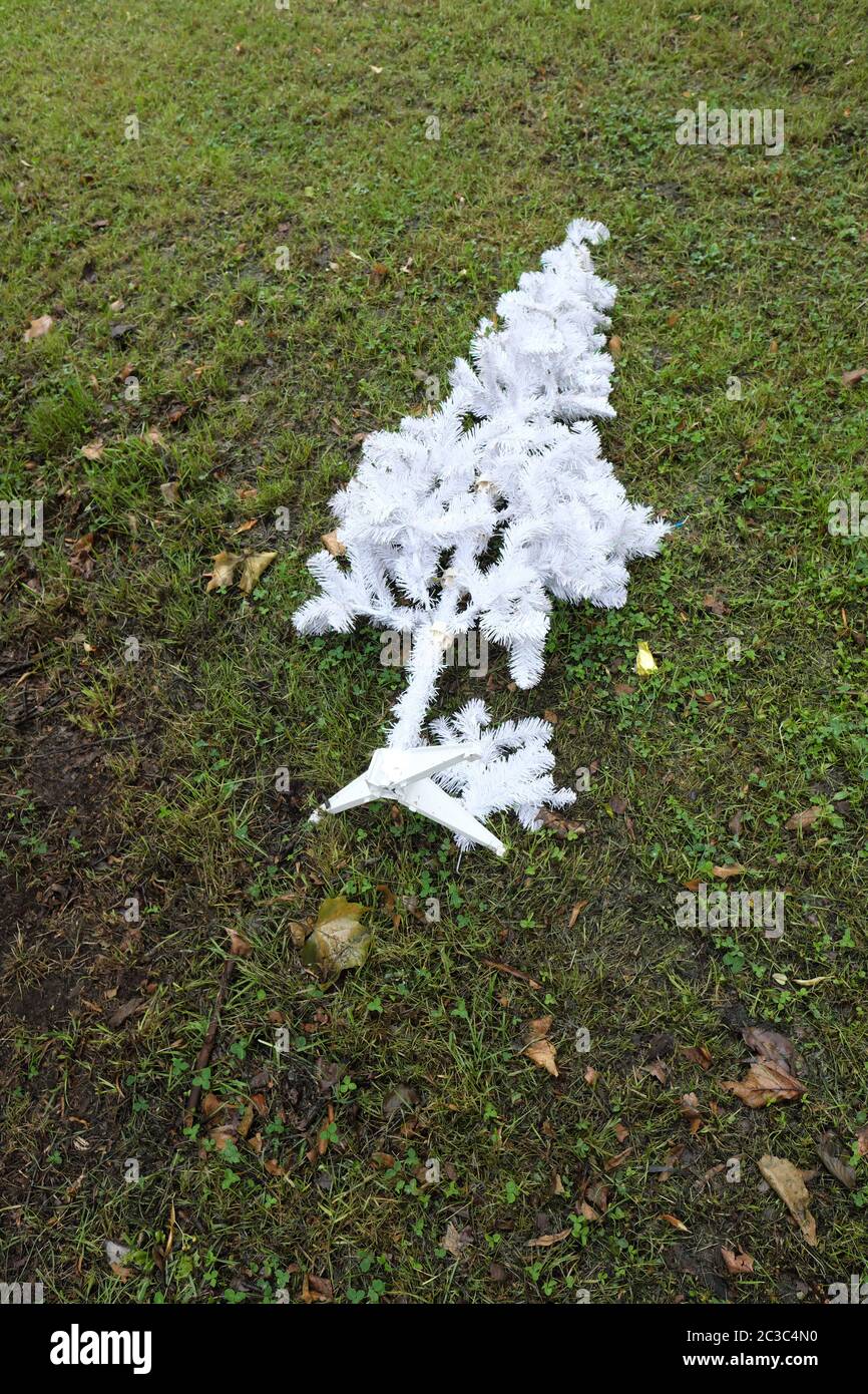 Albero di Natale bianco artificiale scaricato su erba a metà estate giugno 2020 Foto Stock