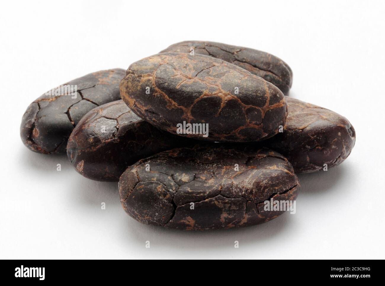 Semi di cacao su sfondo bianco Foto Stock
