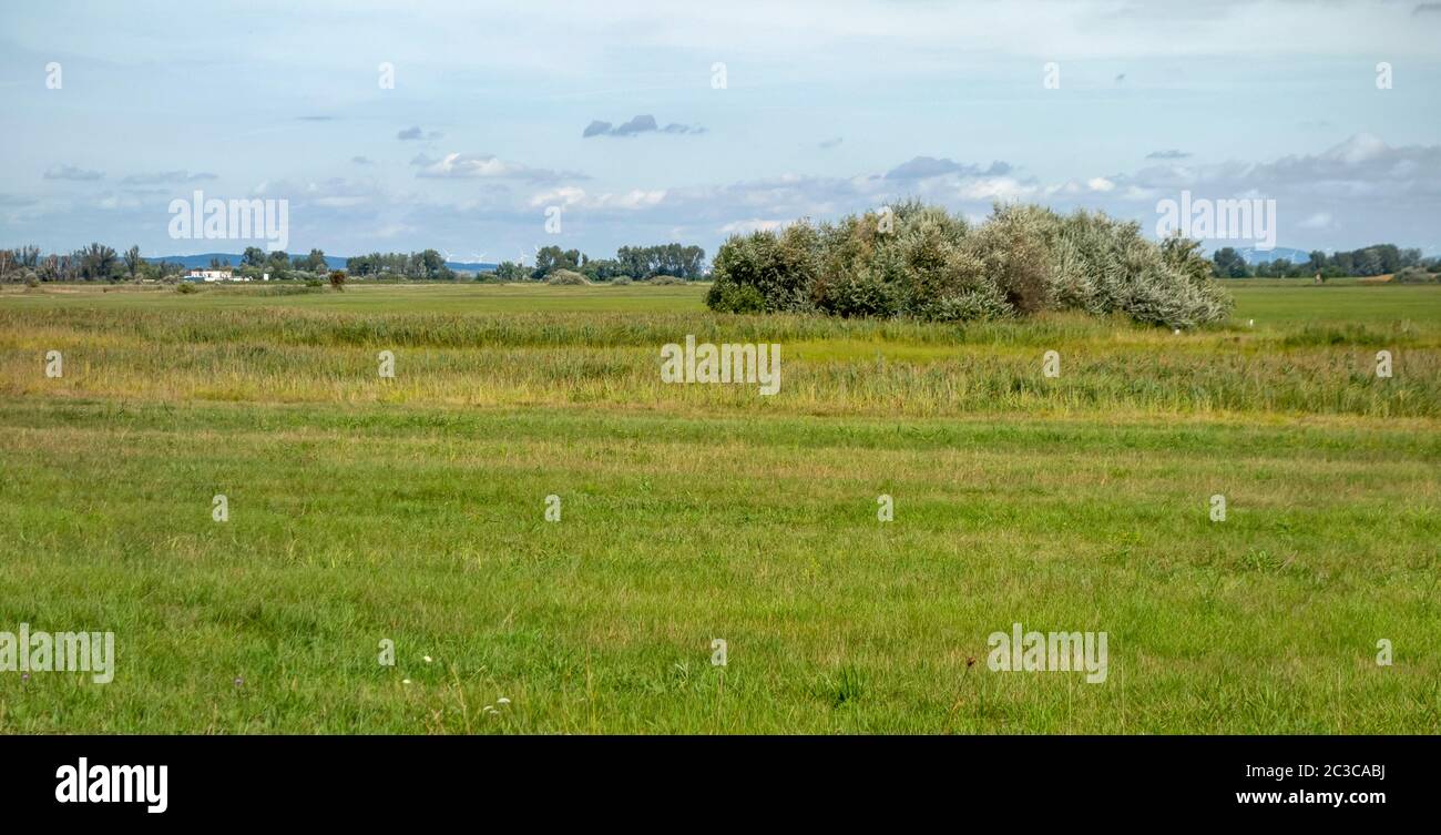 Idilliaco paesaggio rurale attorno a Illmitz in una zona denominata Burgenland in Austria Foto Stock