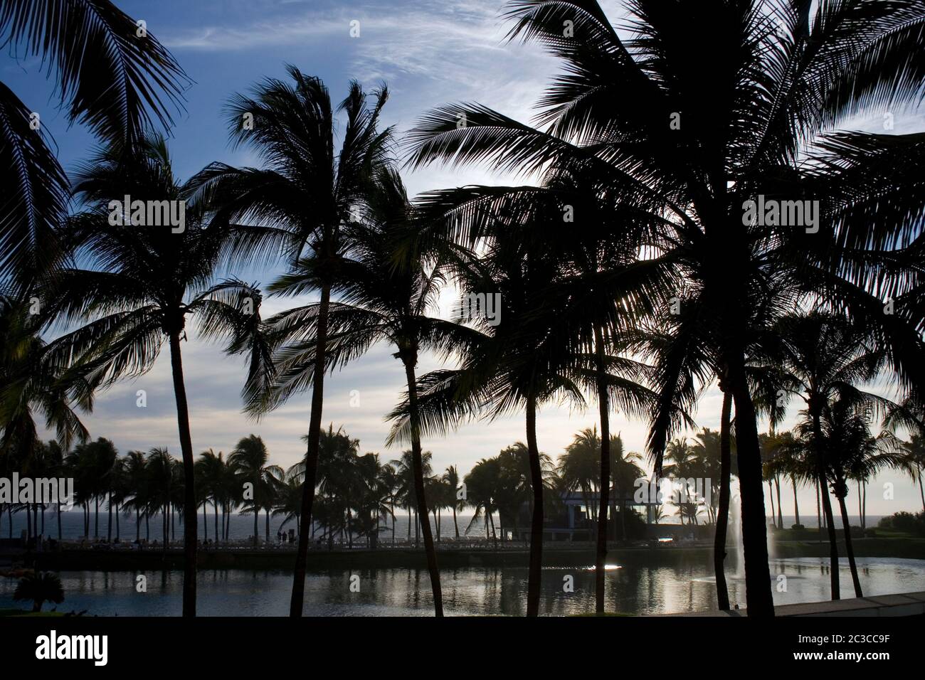 Palme silhouette da una piscina al tramonto ad Acapulco, Messico, Nord America Foto Stock
