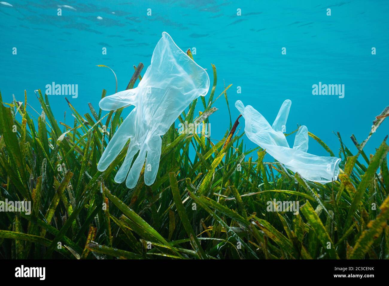 Rifiuti di plastica in mare, guanti monouso con gessetto Posidonia oceanica subacquea, Mar Mediterraneo, Francia Foto Stock