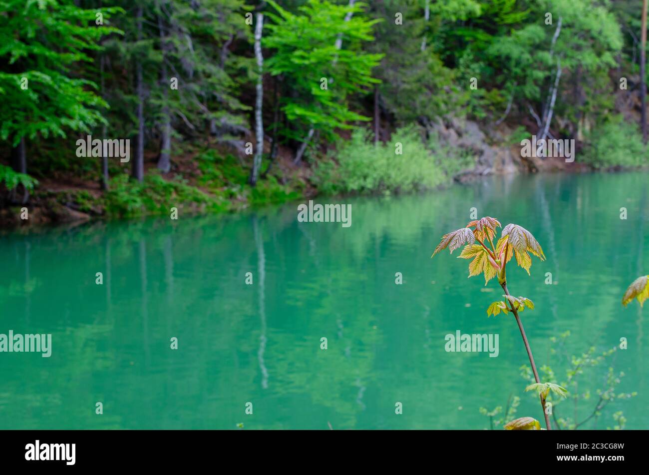 Bel lago turchese naturale riflesso di orotazione contro la costa di legno in Polonia, Europa. Laghi colorati luogo. Bella foresta lago sfondo. Foto Stock