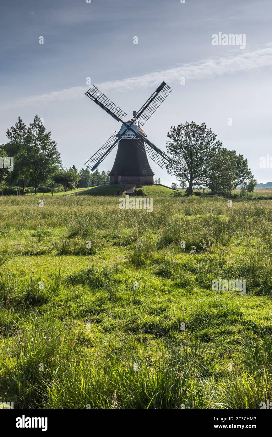 Mulino Wynhamster Kolk. Paesaggio Frisone orientale con mulino vicino alla città di Leer, Frisia orientale, bassa Sassonia, Germania Foto Stock