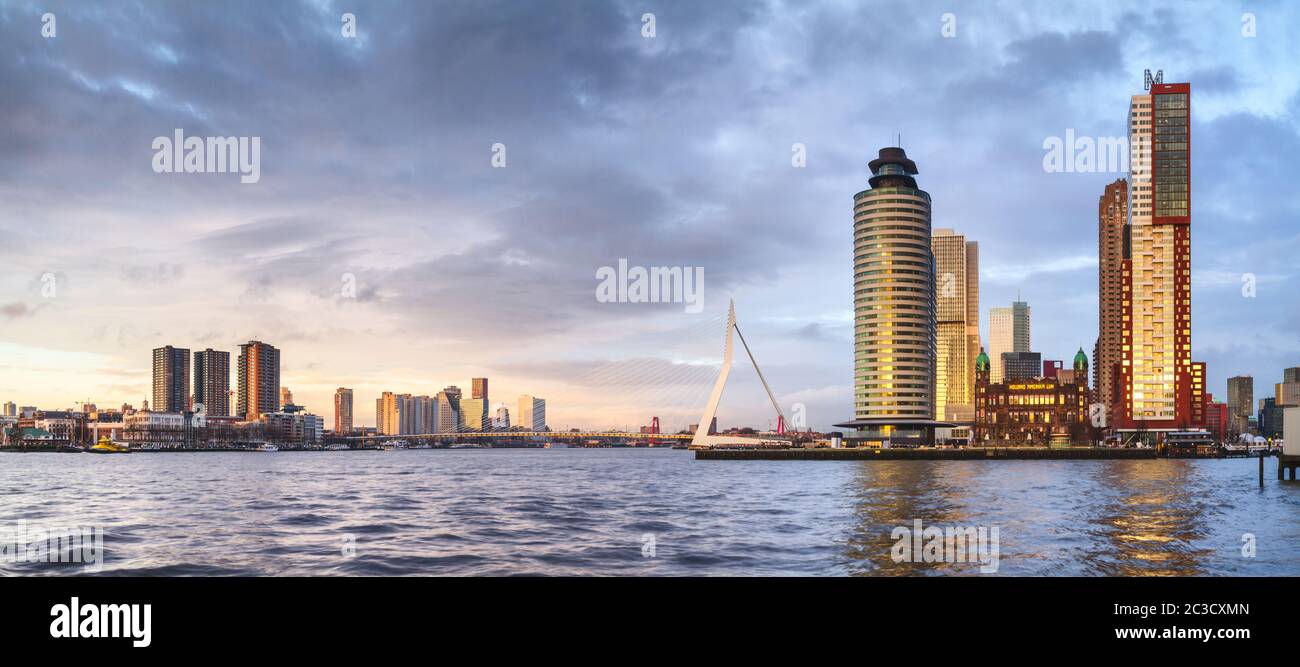 Panorama della città - vista sul ponte Erasmus e quartiere Feijenoord città di Rotterdam, Paesi Bassi Foto Stock