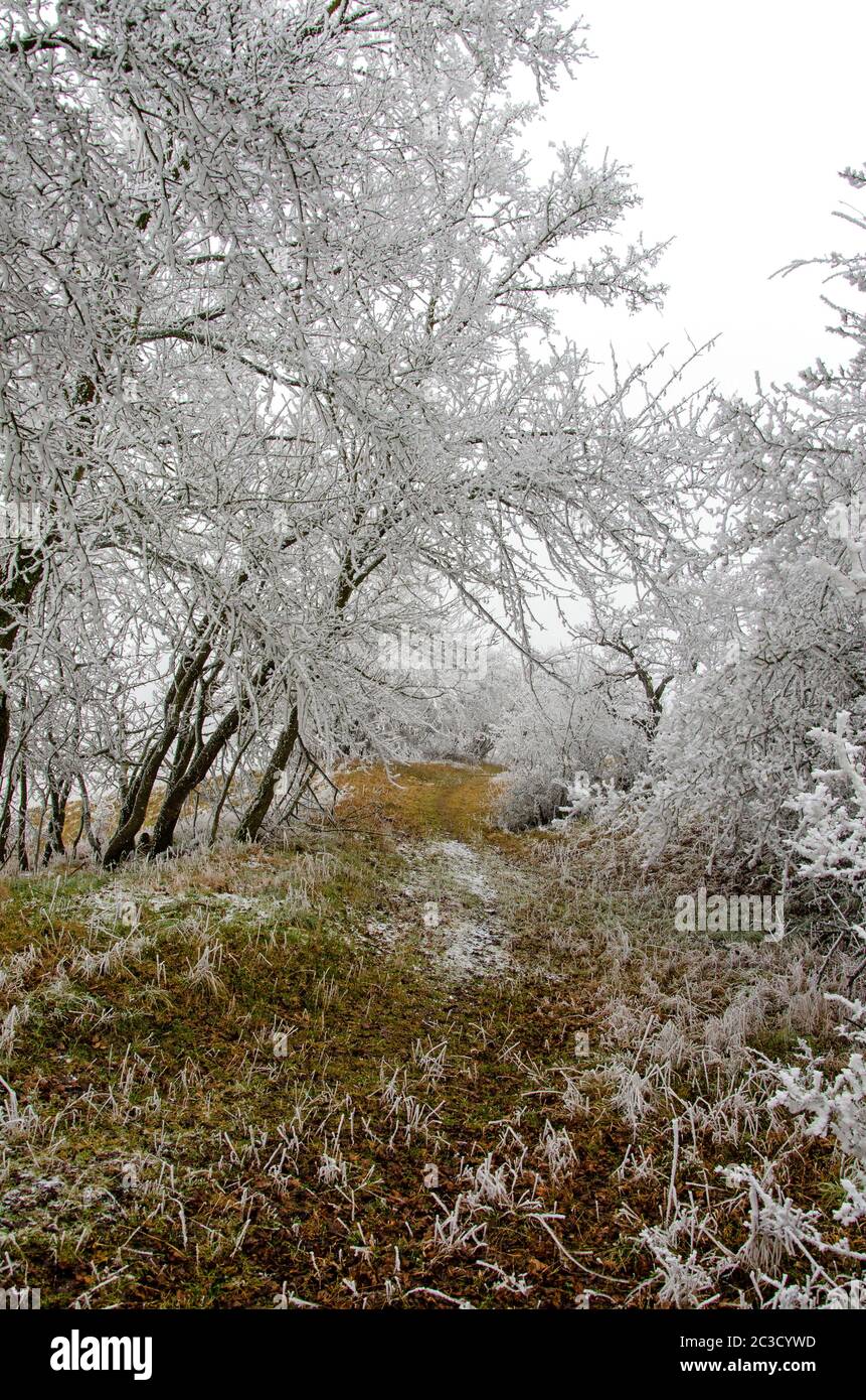 romantico paesaggio invernale Foto Stock