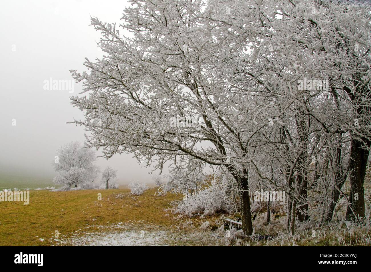 romantico paesaggio invernale Foto Stock