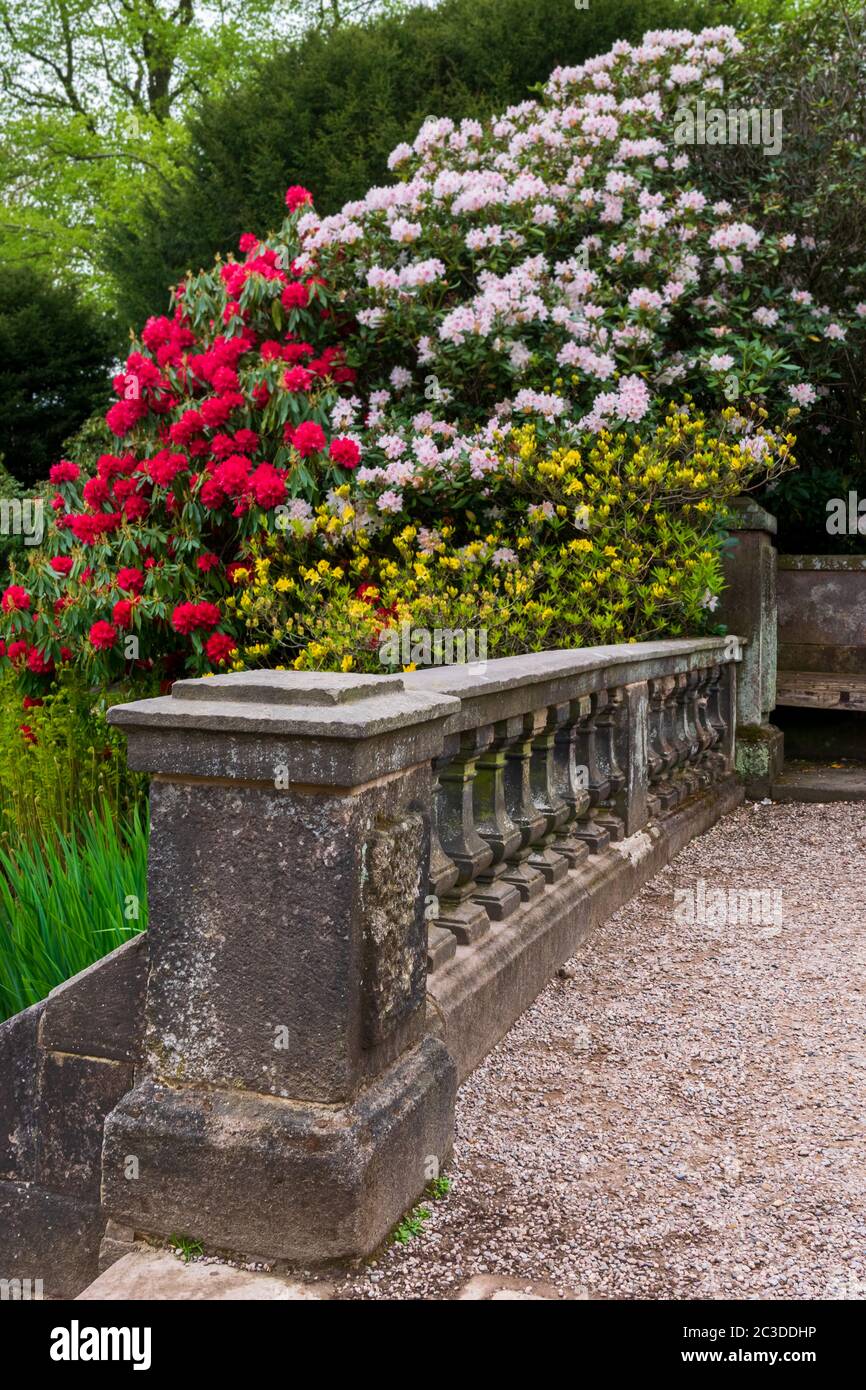 Vecchia balaustra in pietra e fiori in un giardino, Biddulph Grange Garden, Inghilterra, Europa Foto Stock