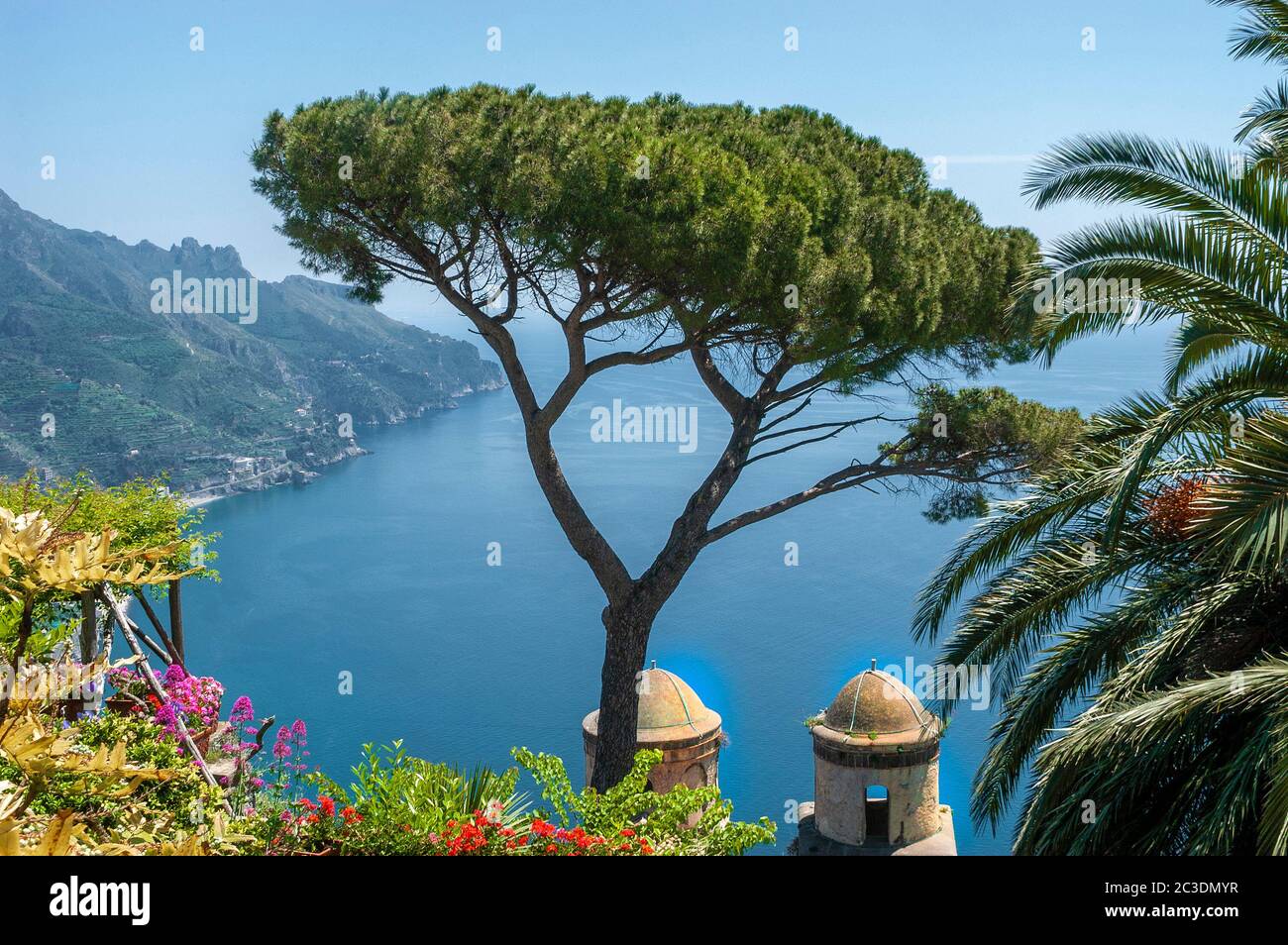 Ombrello nei giardini di Villa Rufolo, forse l'albero più fotografato d'Italia, affacciato sul Mar Tirreno, Ravello, Italia Foto Stock