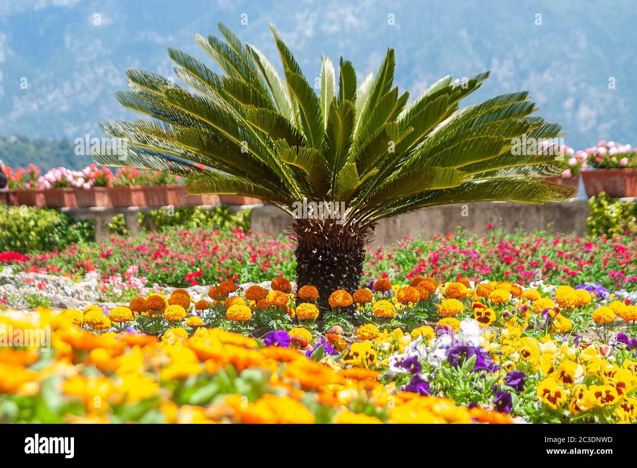 I bellissimi giardini fioriti a Villa Rufolo a Ravello, sulla Costiera Amalfitana Campania, Italia Foto Stock