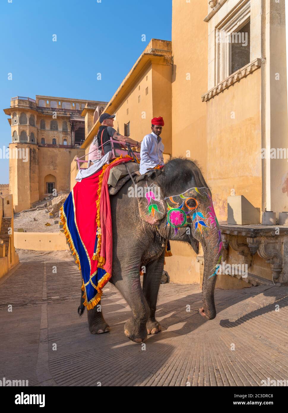Giro dell'elefante sul percorso fino al Forte di Amber, Jaipur, Rajasthan, India Foto Stock