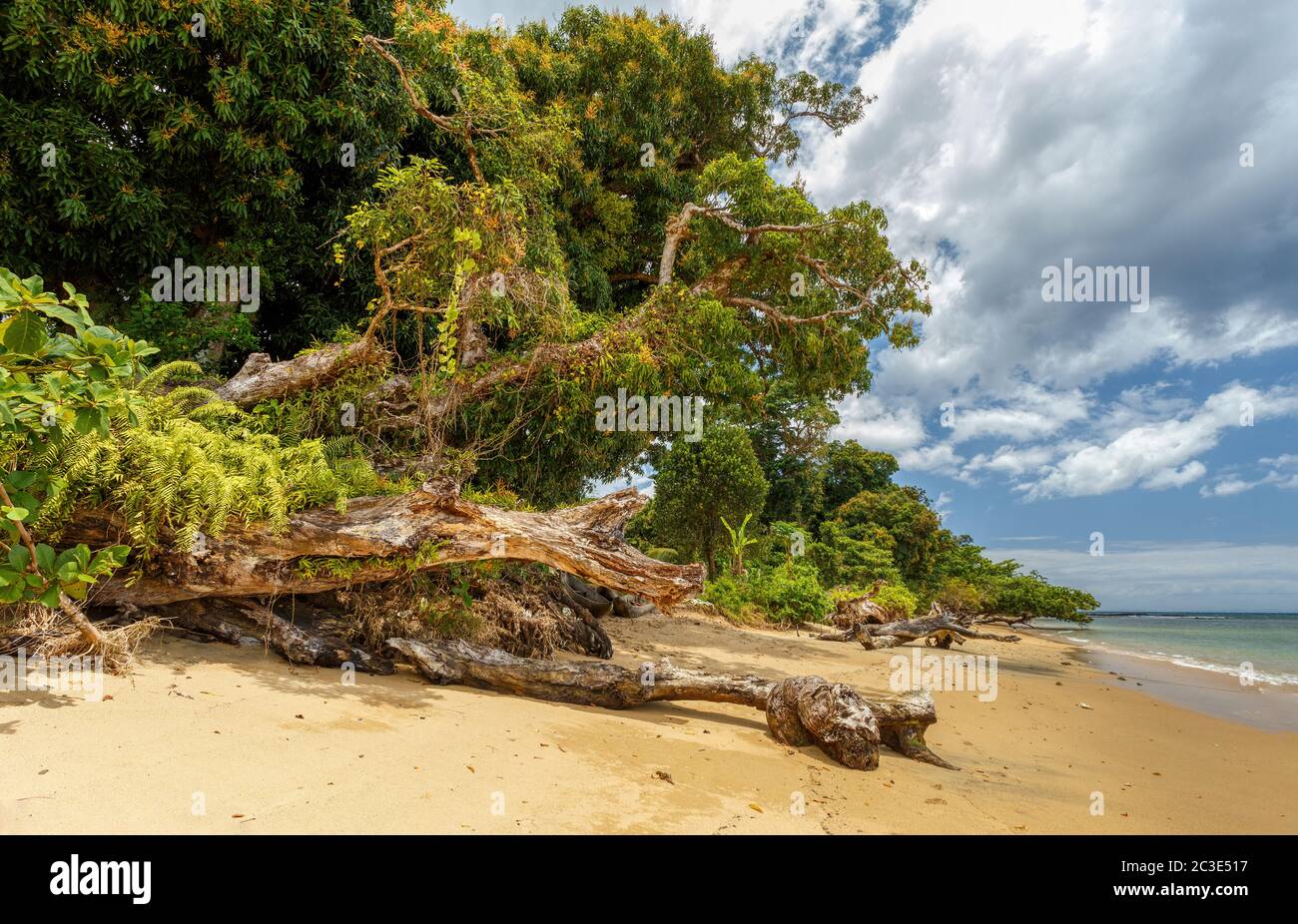 Bella spiaggia paradiso a Masoala, Madagascar Foto Stock