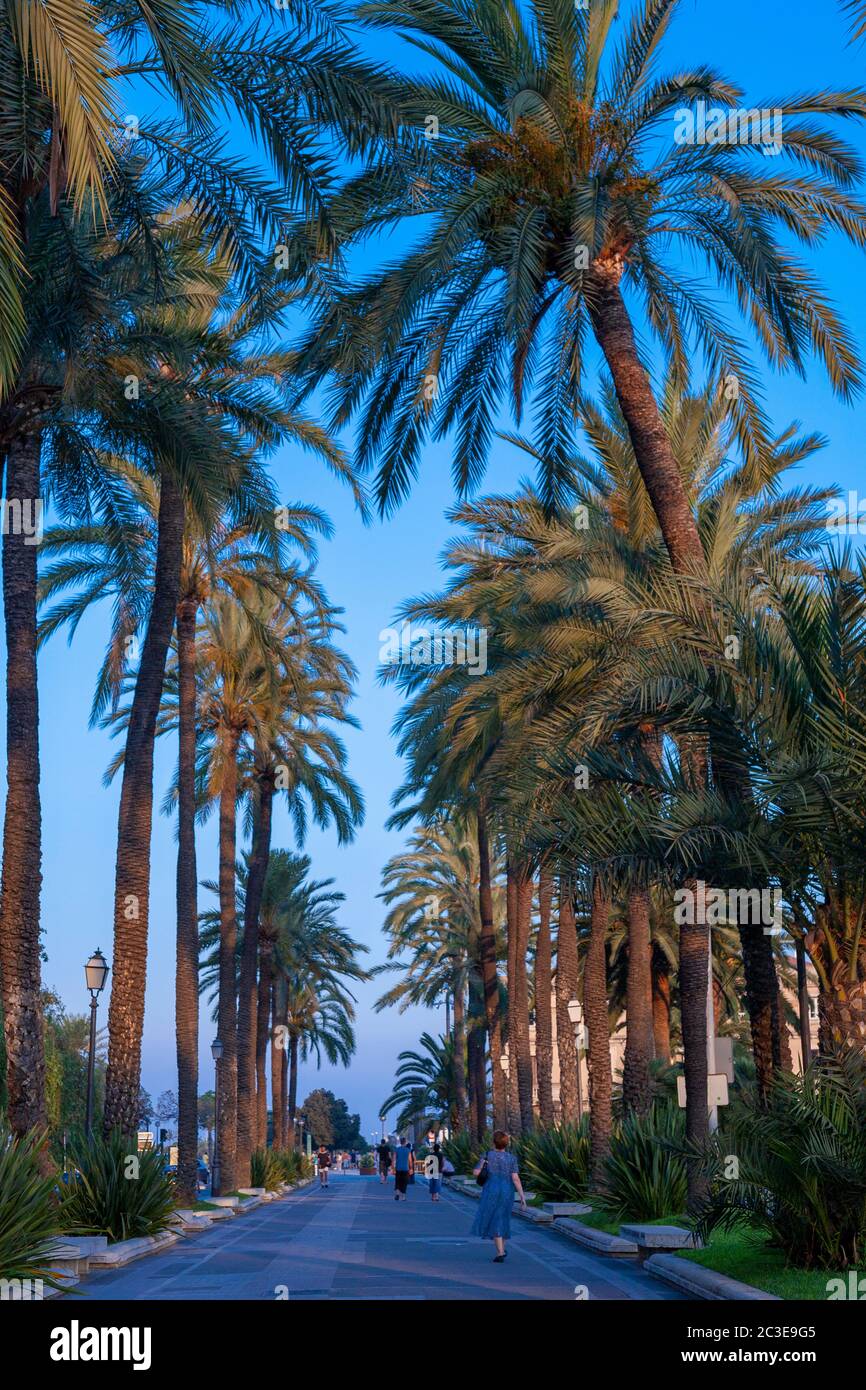 Passeig de Sagrera, Palma di Mallorca, Spagna Foto Stock