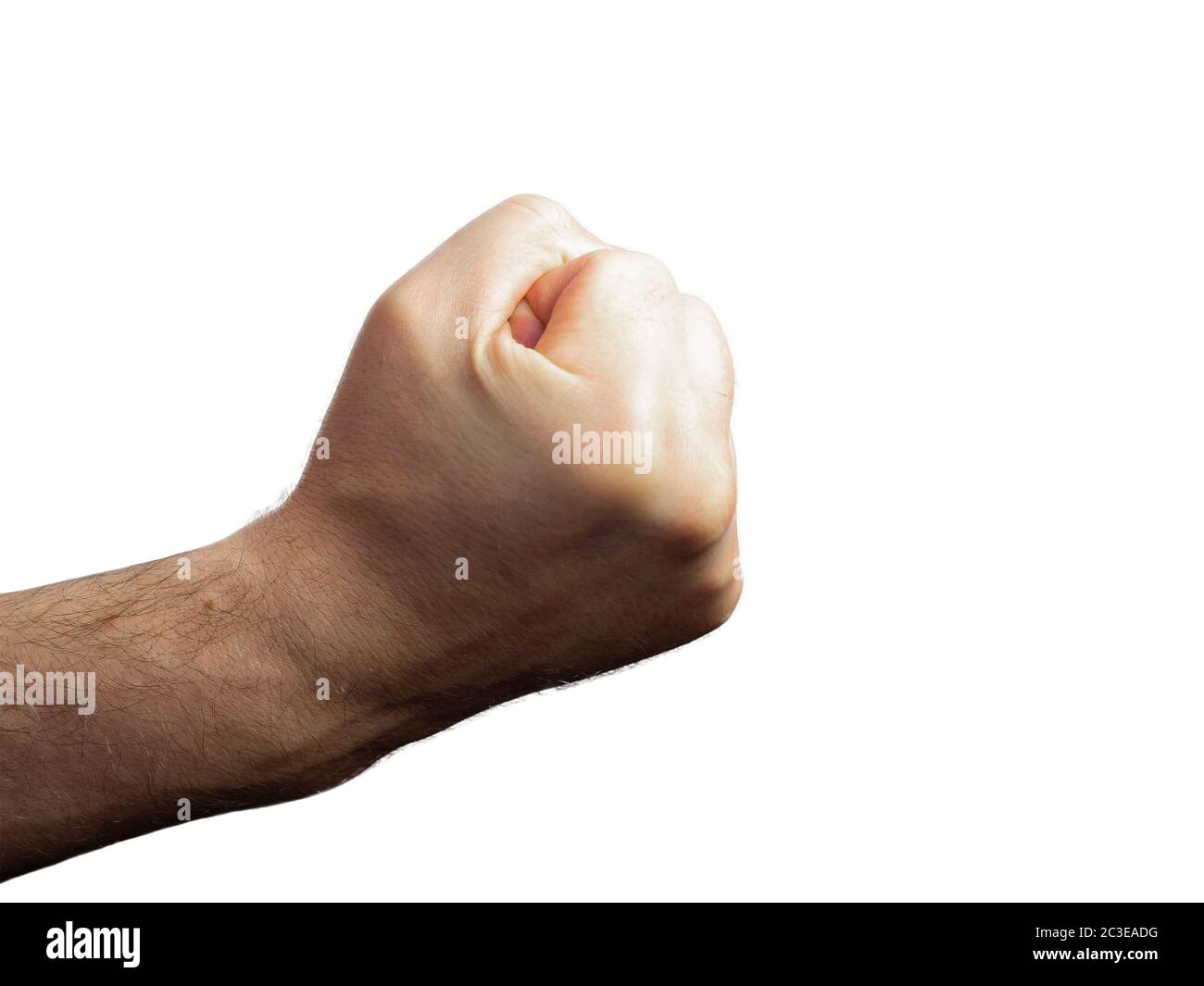 Maschio brutale mano pelosa aggraffata in un pugno su uno sfondo isolato Foto Stock