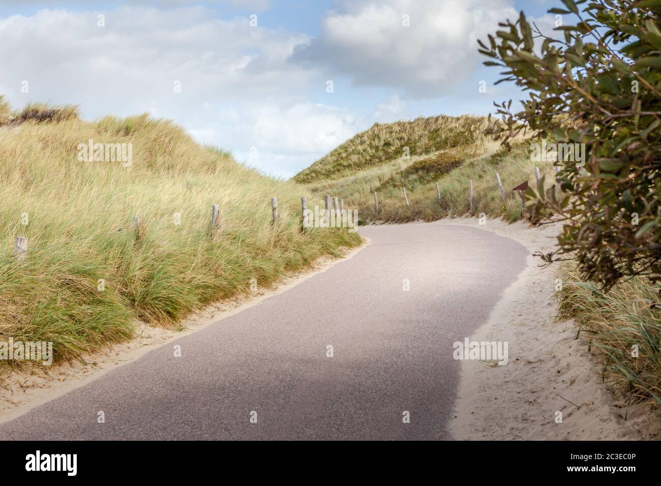 Un sentiero attraverso le dune di Olanda Foto Stock