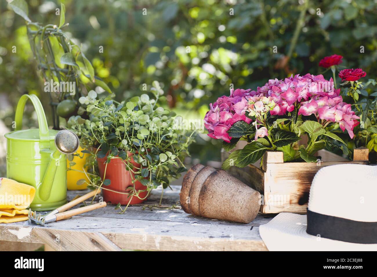 Mobili da giardino d'epoca sulla terrazza Foto Stock