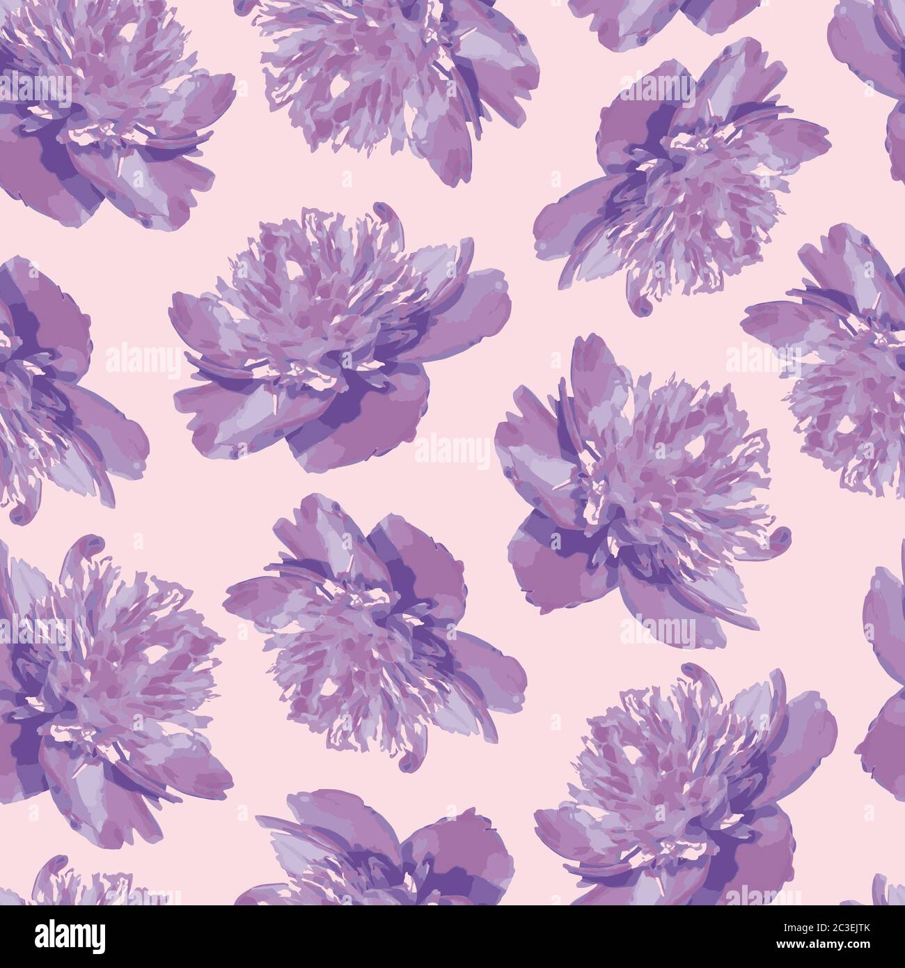 modello senza cuciture di bellissimi fiori realistici di peonie viola su uno sfondo lilla Illustrazione Vettoriale